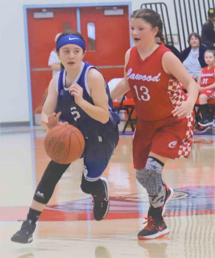 Black Mountains Jayla Dillman dribbled around Cawoods Haydlei Stewart in county tournament action Saturday. Dillman scored nine points in Black Mountains 23-11 win.