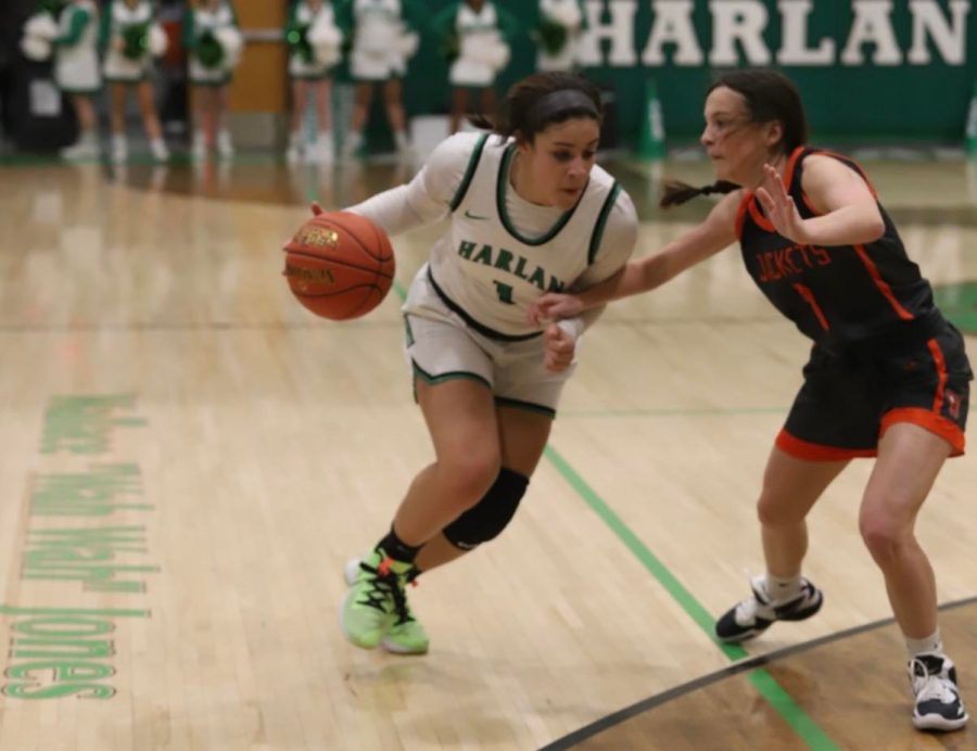 Harlan sophomore guard Kylie Noe worked around Williamsburgs Natalie Rickett on Friday. Noe scored 26 points in the Lady Dragons 78-44 win.