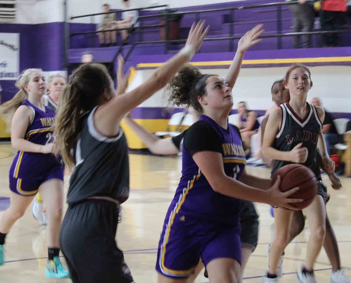 Wallins guard Raegan Landa scored 12 points in the Lady Devils’ win over Cumberland on Monday.