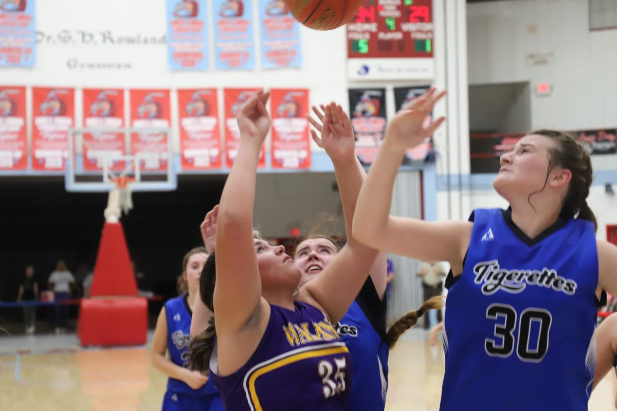 Wallins center Addison Day went up for a shot against Black Mountains Vanessa Griffith late in Tuesdays semifinal matchup. Wallins advanced with a 41-33 victory.
