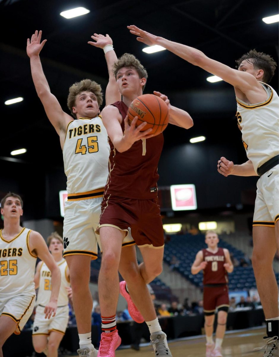 Pineville+guard+Ashton+Moser+sailed+past+Clay+County+center+Elijah+Bundy+in+13th+Region+Tournament+action+Thursday.+Bundy+had+17+points+in+the+Tigers+80-50+victory.+Moser+led+the+Lions+with+22+points.