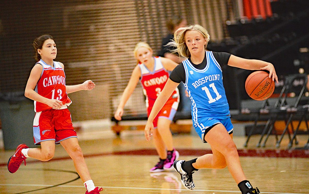 Rosspoint’s Taylynn Napier was guarded by Campbell Thompson, of Cawood, in action from the county panorama on Saturday. Napier scored 23 points in the Lady Cats’ 44-16 victory.