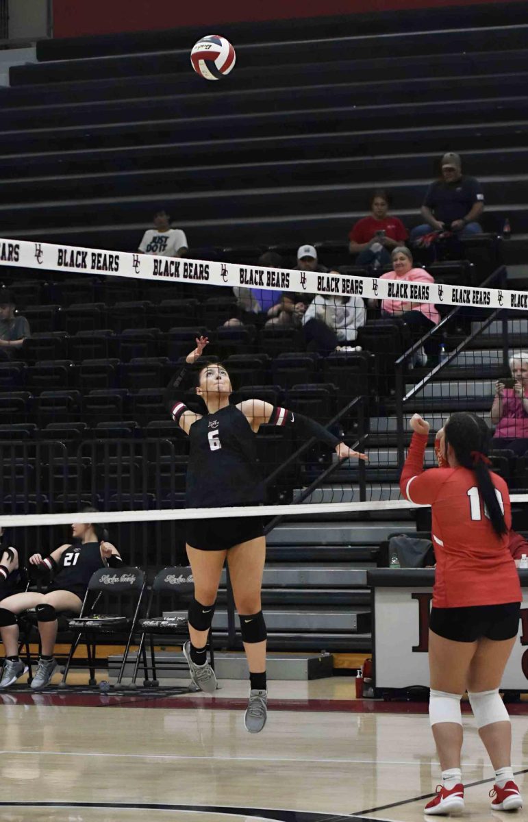 Harlan County junior Kalista Dunn went up for a return in the Lady Bears' three-set win Monday over visiting Lee, Va.