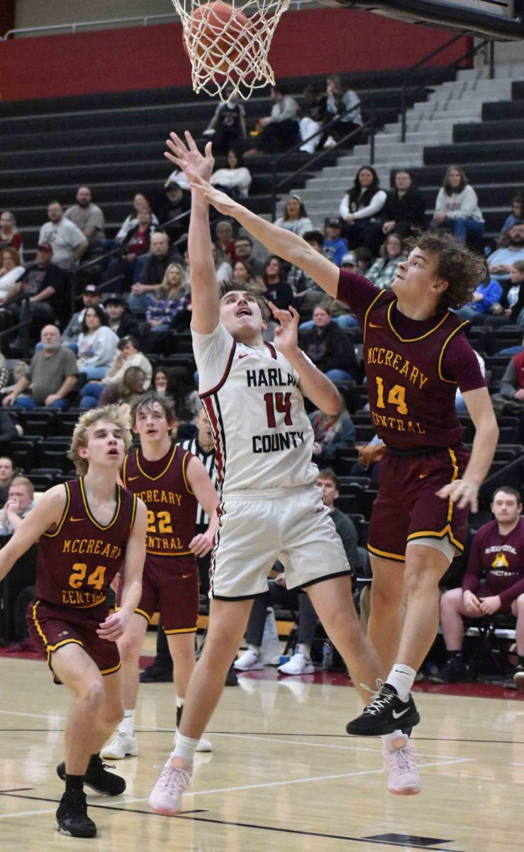 Harlan County senior Brody Napier has played a key role this season for the 24-8 Bears, averaging 8.2 points and 4.1 rebounds per game while also serving as one of the team's top defenders.