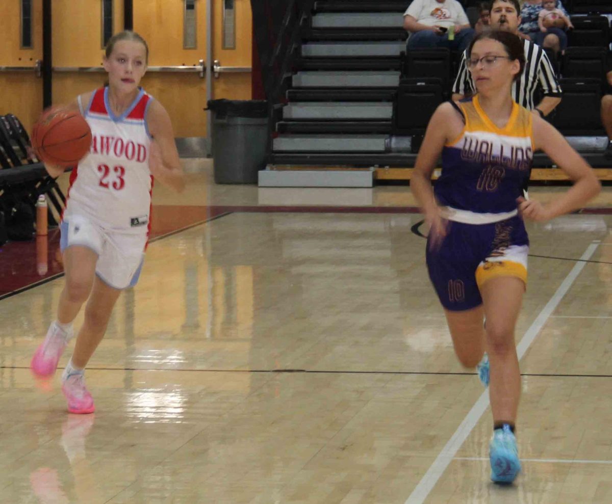 Cawood guard Addy Cochran raced down the court as Wallins' Katelyn Hall defended in action from the Harlan County Lady Bears Panorama.