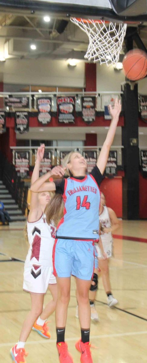 James A. Cawood's Adleigh Creech went up for a shot in action earlier this season. 