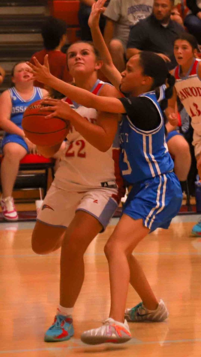 Cawood guard Bella Ford worked inside against Rosspoint's Addison Dunson in action from the county tournament on Tuesday at James A. Cawood.
