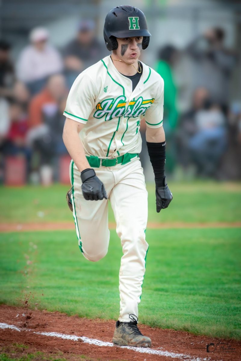 Sophomore center fielder Jaxson Perry had one of the Dragons' three hits Thursday in a 5-1 loss to Lee, Va.
